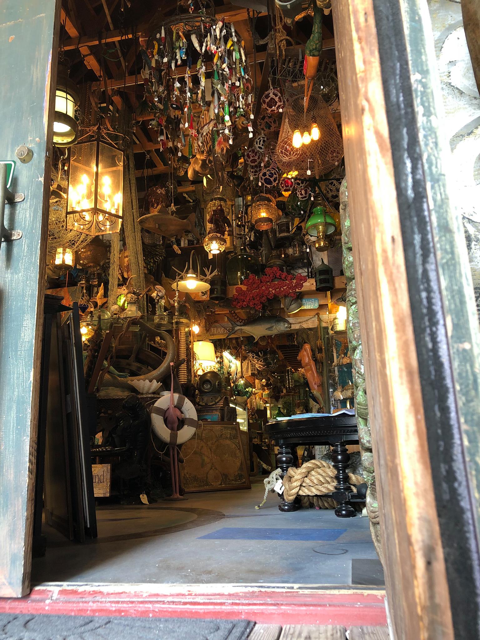 57286218_2607575109315095_5939253133946388480_o